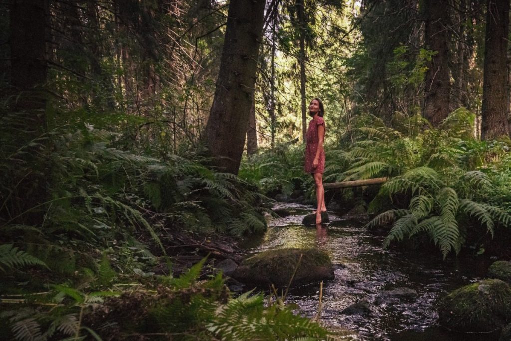 forest bathing
