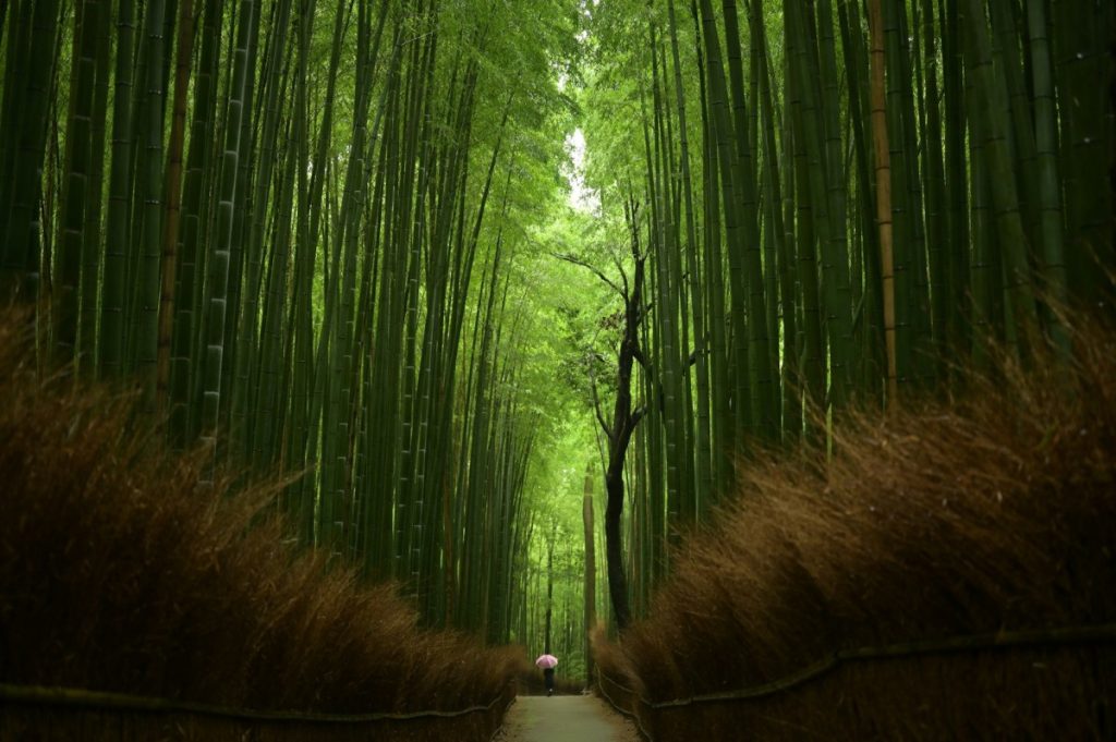 kyoto