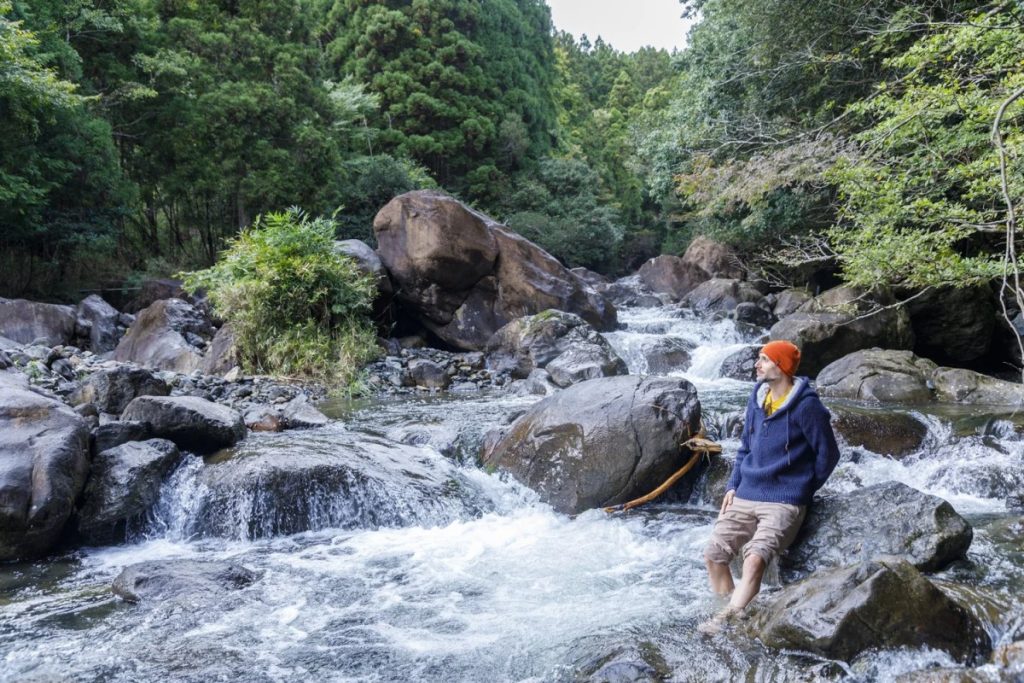 forest bathing