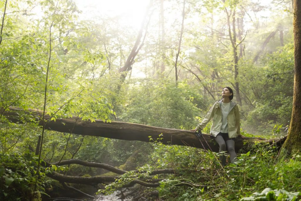 forest bathing