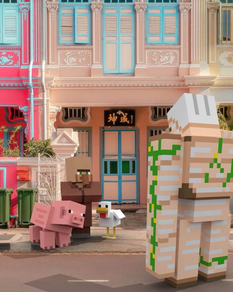 minecraft experience