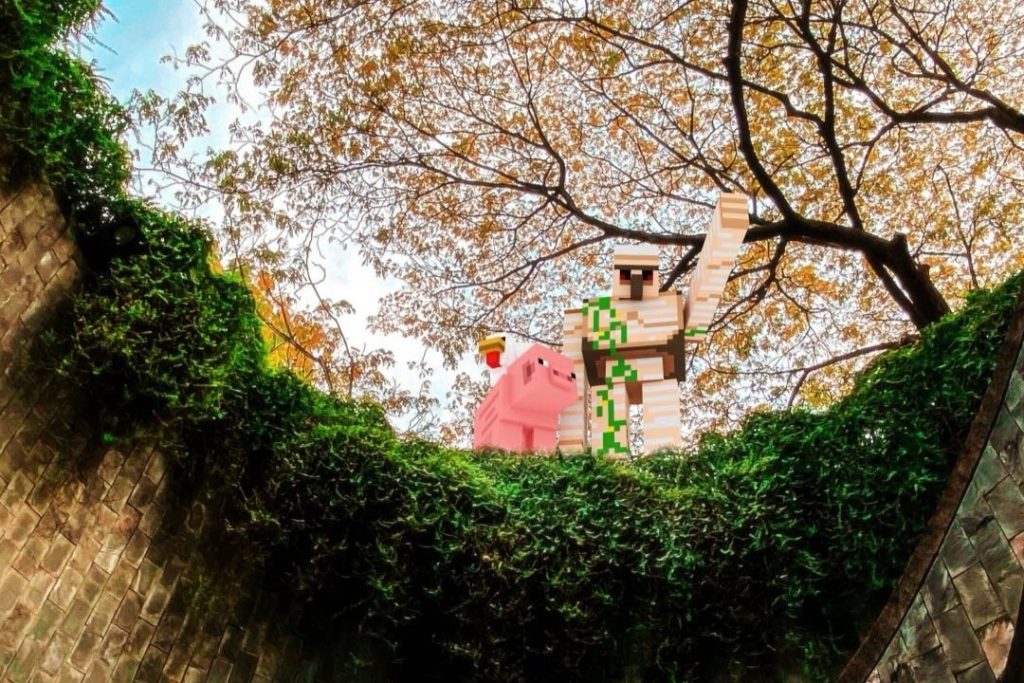 minecraft experience