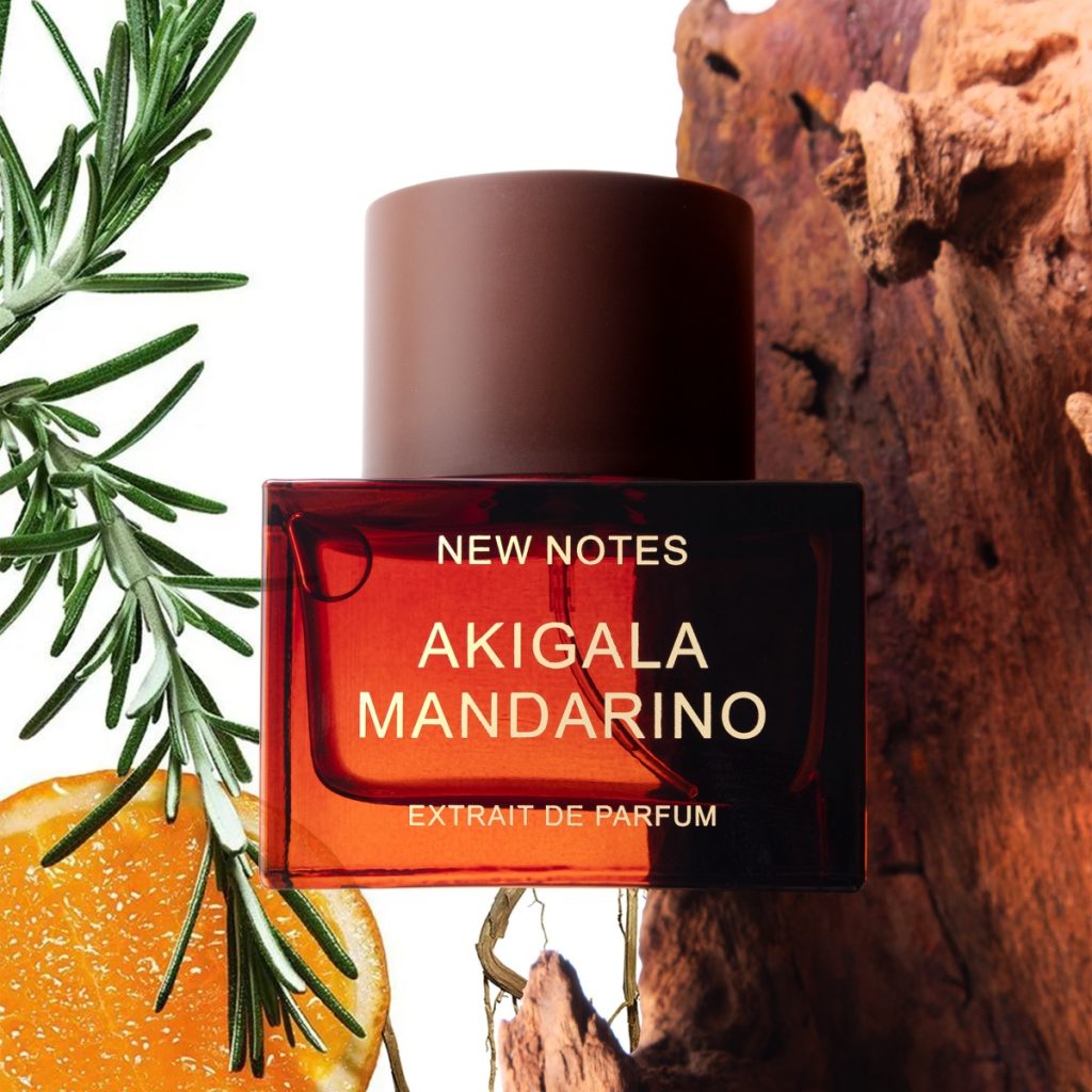 rekomendasi parfum