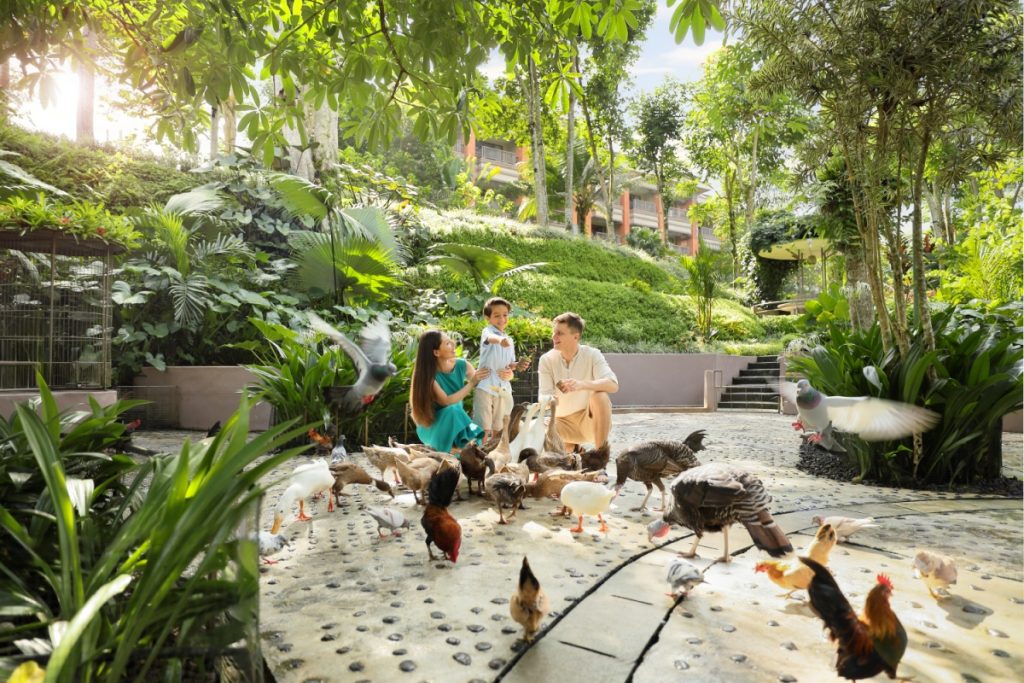 padma resort ubud
