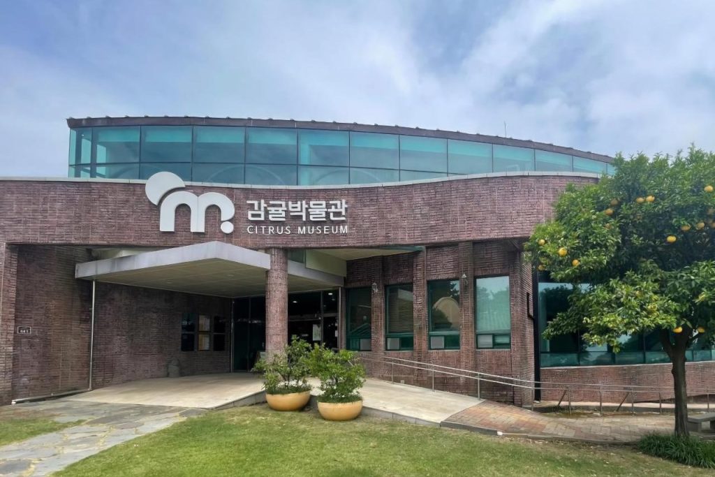 jeruk jeju